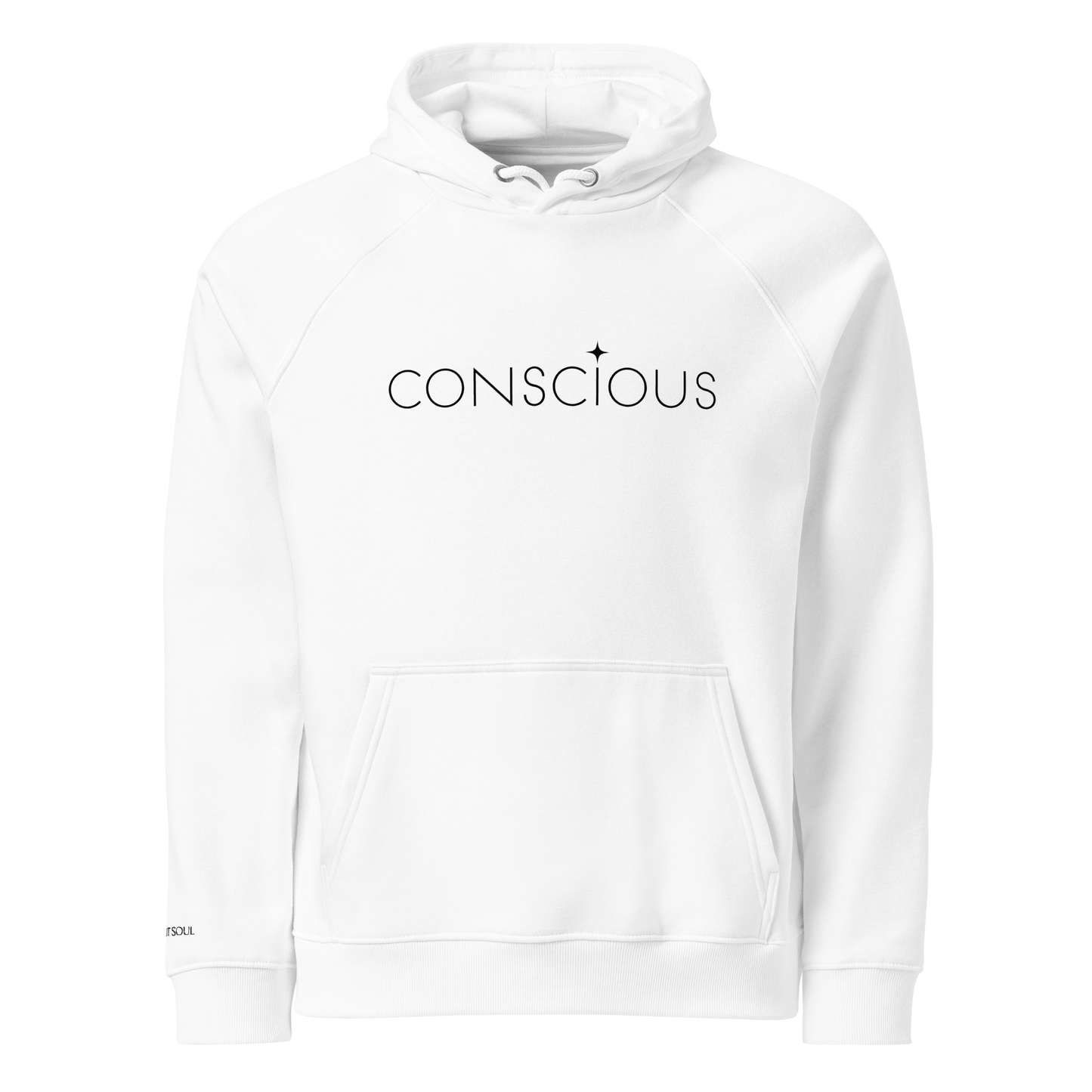 Conscious - Unisex eco raglan hoodie